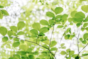 Explore Ironwood Investment Management, LLC’s disciplined Small Cap Core Strategy and its value-driven approach to identifying potential opportunities in small-cap equities.