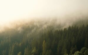 Explore the small-cap rally and why investors see potential opportunities in small-cap stocks. Learn how Ironwood Investment Management, LLC approaches this space.